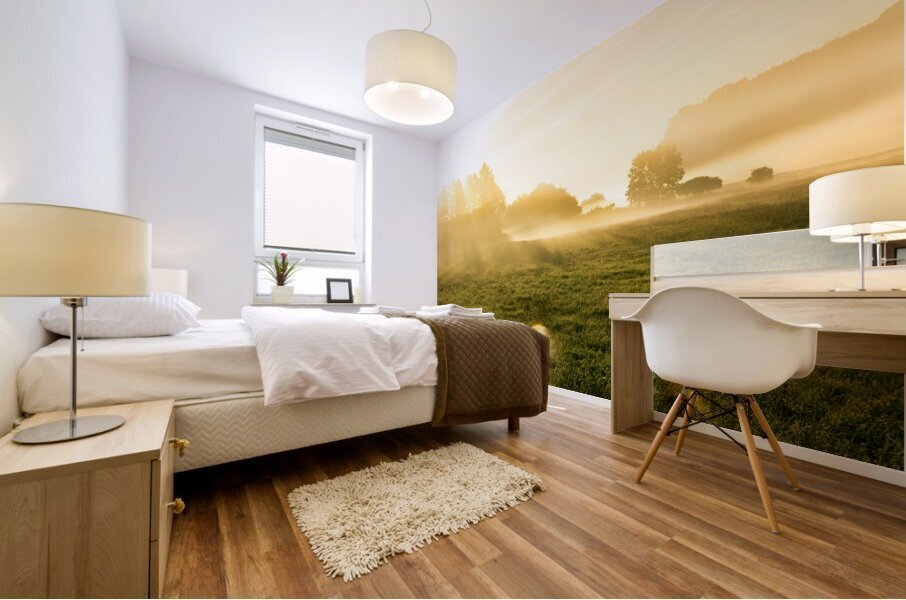 Beautiful sunrise in rural landscape with sun rays shining through the morning fog  Mural print