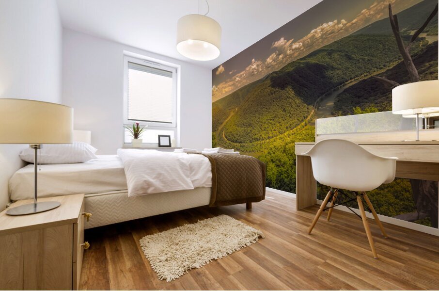 New River  Gorge National Park Grandview Overlook Mural print
