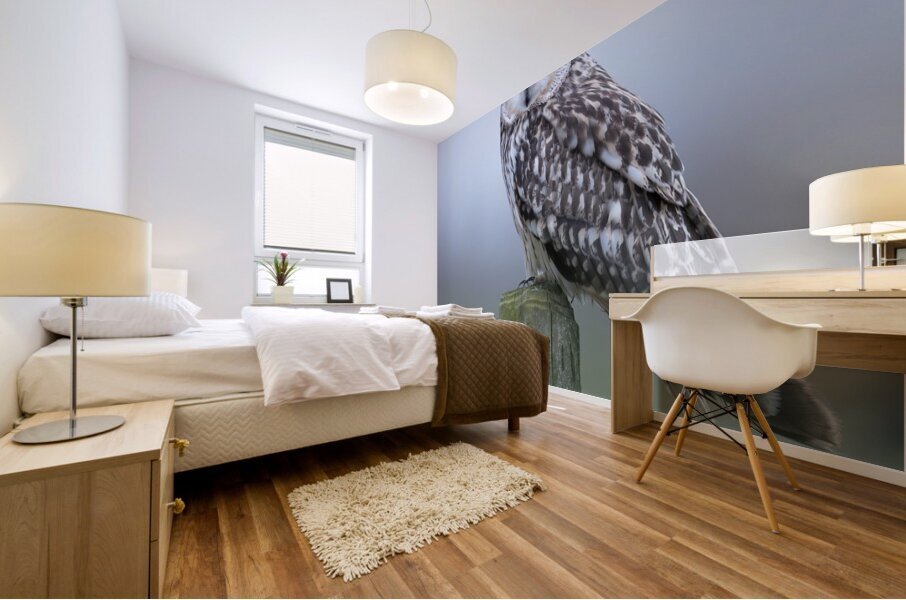 Barn owls Mural print