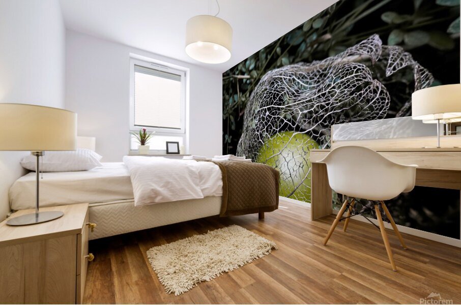 Fallen Tomatillo Mural print