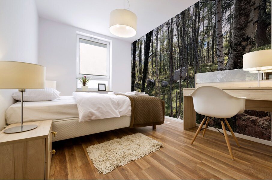 Autumnal Forest View in the Scottish Highlands Mural print