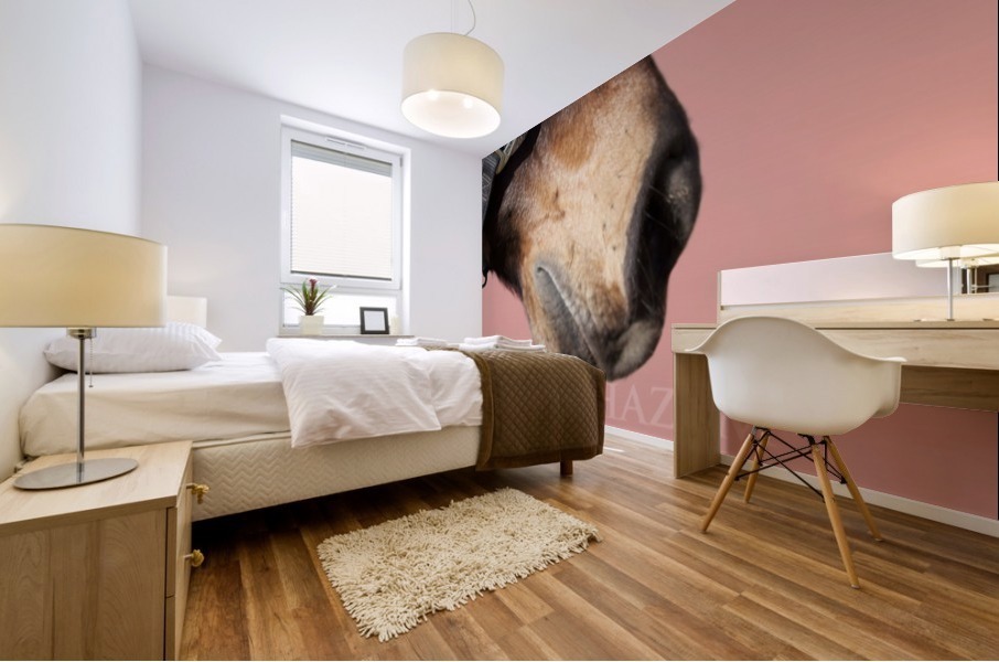 Horse with Pink Mural print