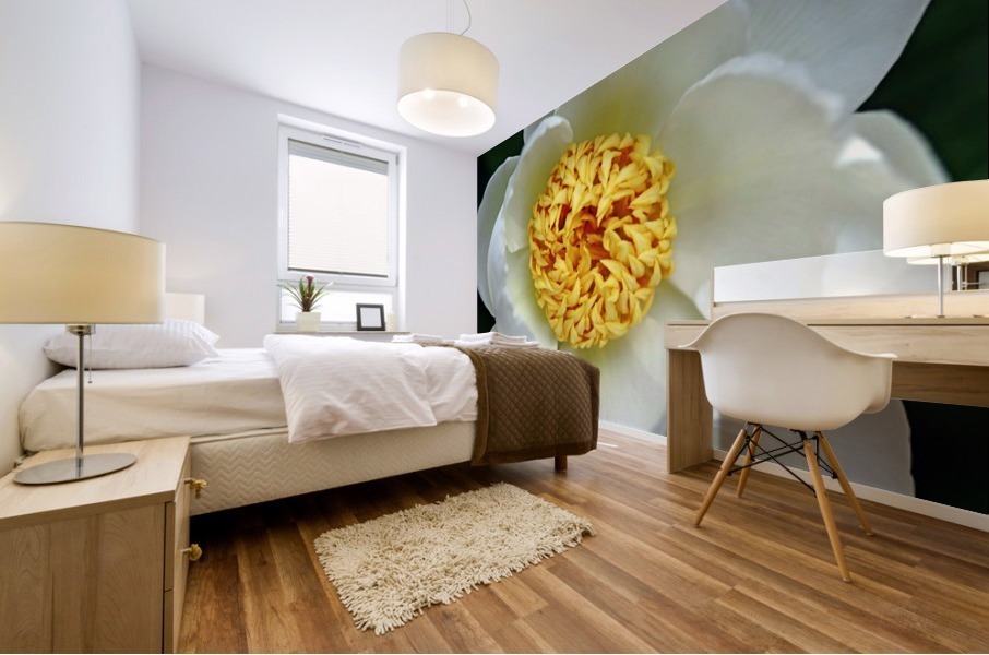 Classic White Peony Mural print