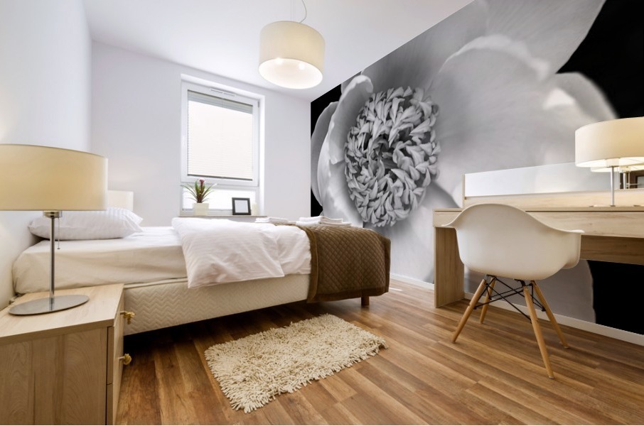 Classic White Peony Black And White Mural print