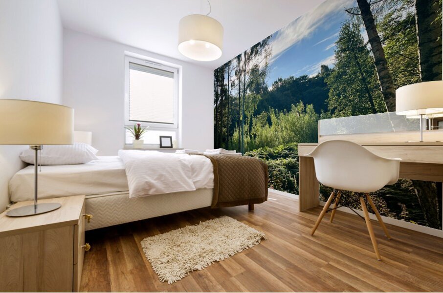 Scottish Highlands Landscape Mural print