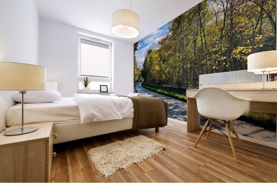 The Winding Autumnal Road in the Scottish Highlands Mural print