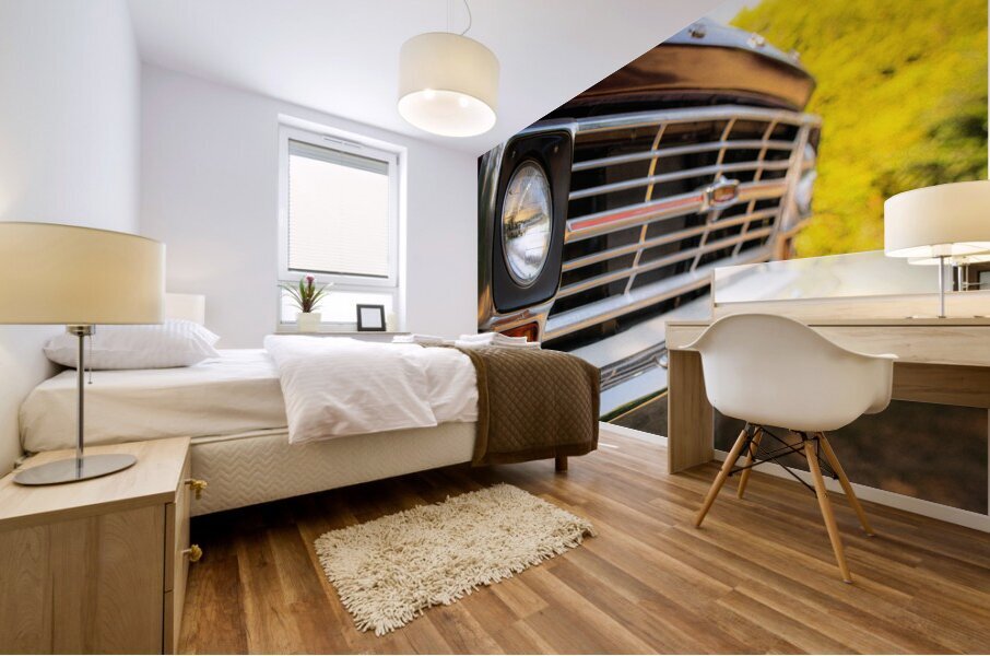 Z72 2287 Mural print