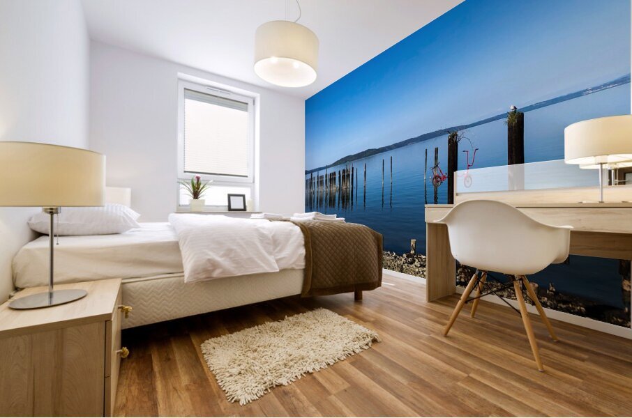 IMG 1842 Mural print