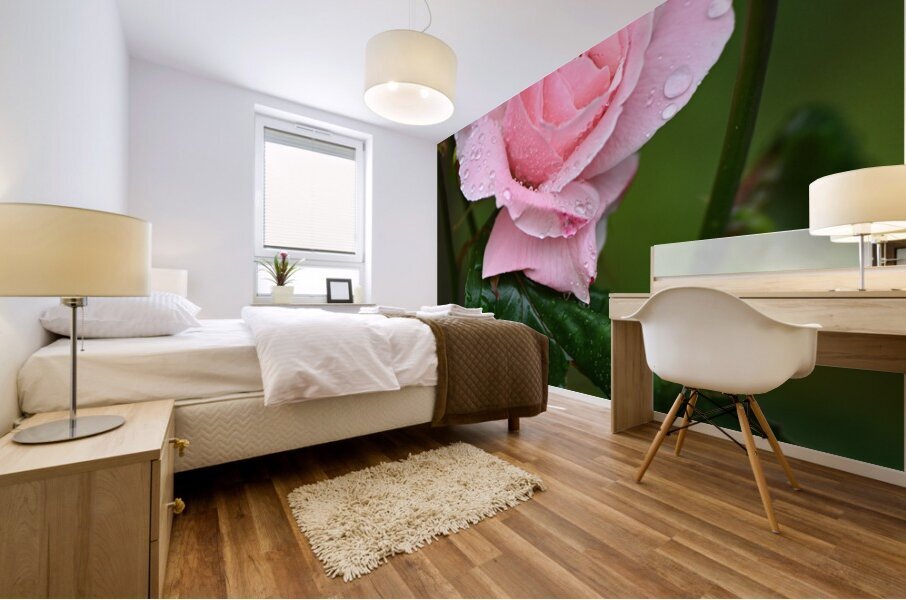 Z72 0322 Mural print