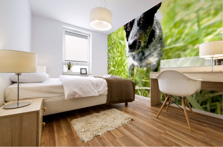 IMG 2439 Mural print