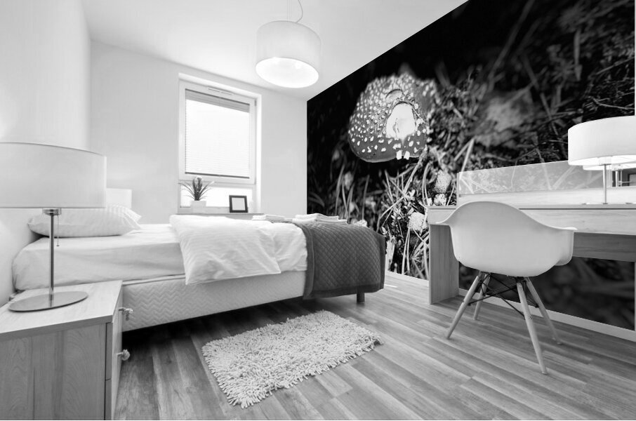 Scenes from the Trail- Fly Agaric in Black and White Mural print