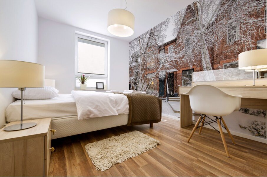 Soft Snowfall in Toronto Mural print