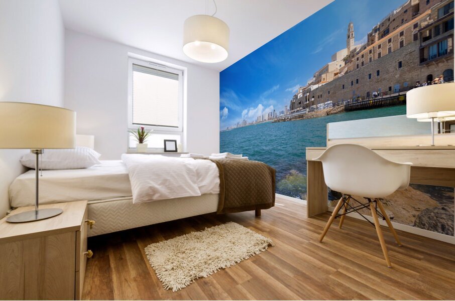 Israel view of Tel Aviv shore sea shoreline and Namal Yafo historic Old Jaffa port Mural print