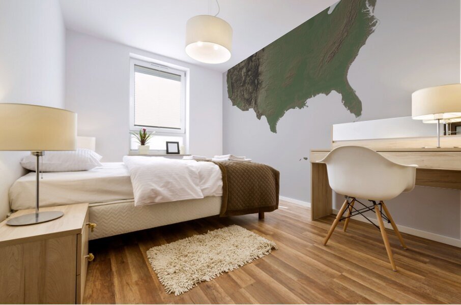 United States Relief Map Print Mural print