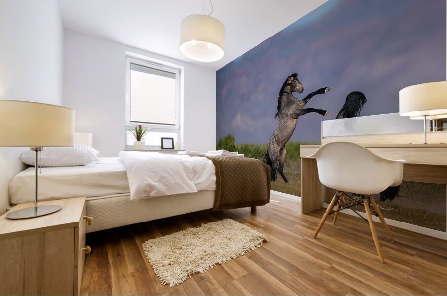 BZ9 6970 Enhanced NR Mural print