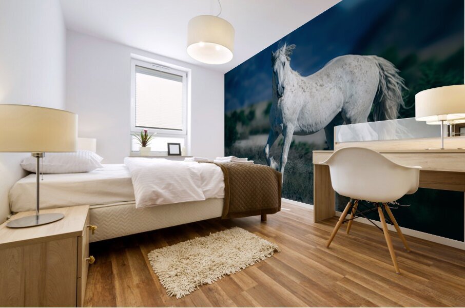 BZ9 8427 Enhanced NR Mural print