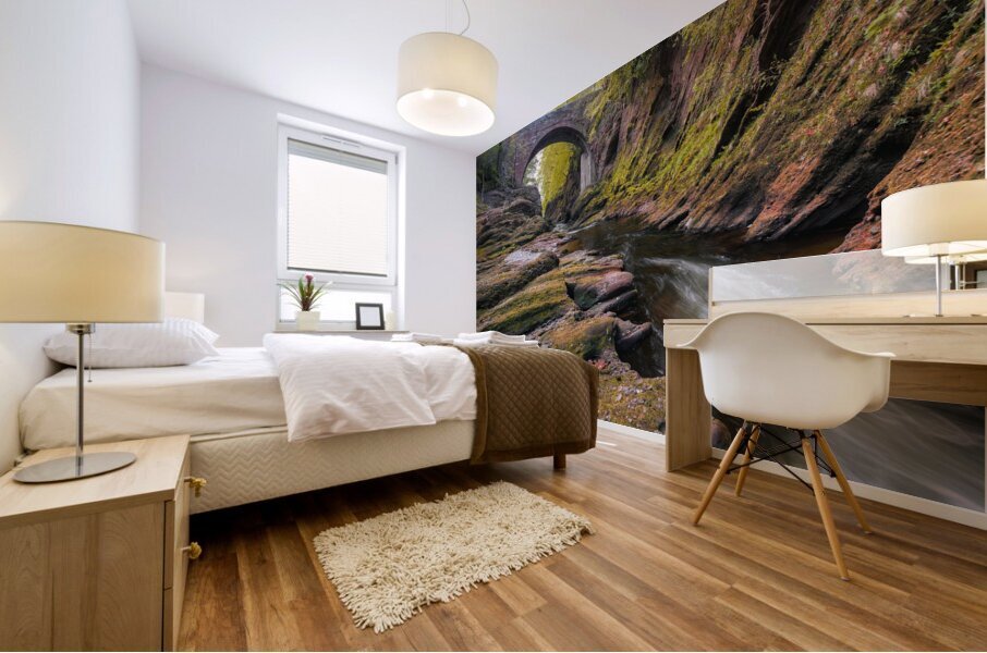 Gannochy Bridge Mural print