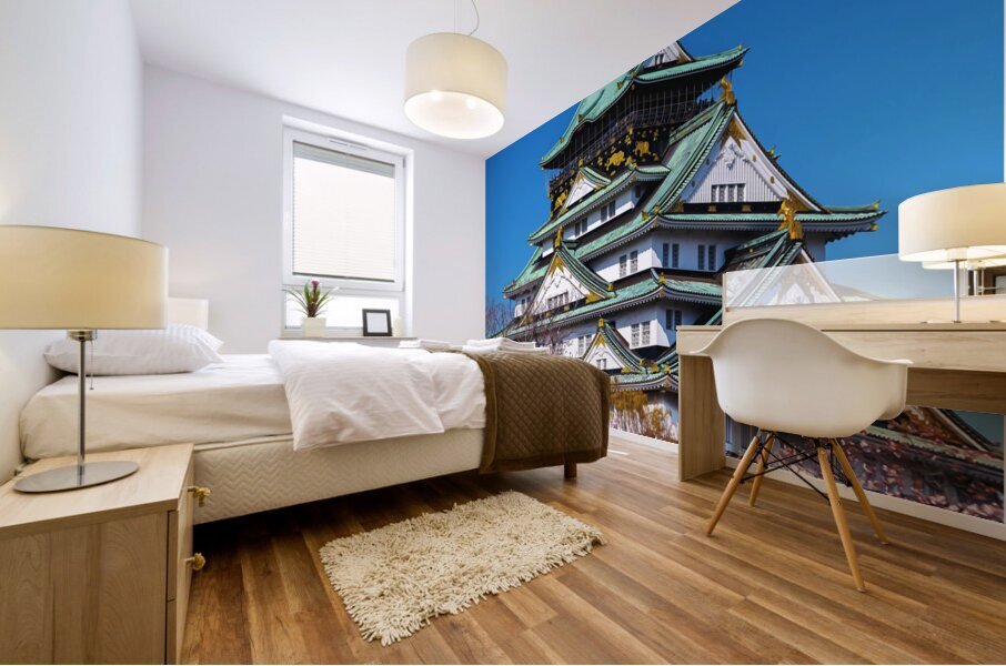 Osaska Japan6 Mural print