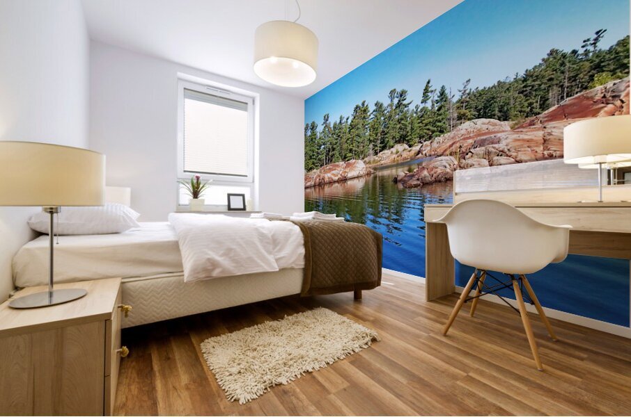 Islands Of McGregor Bay Ontario VII Mural print