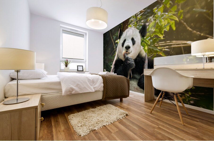 Giant panda bear in China Mural print