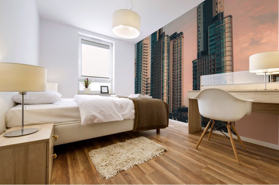 Buenos Aires Argentina4 Mural print