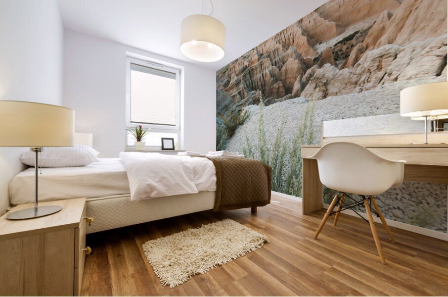 Badlands National Park4 Mural print