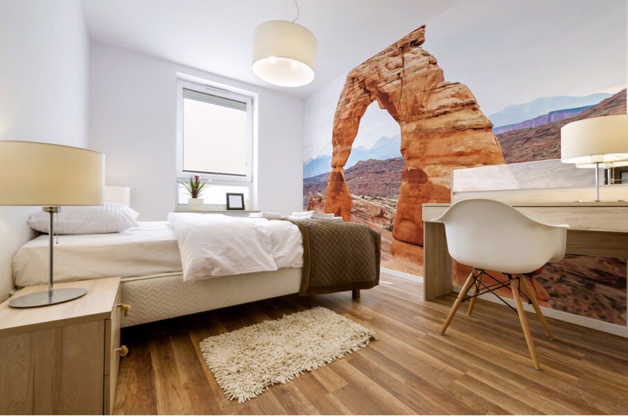 Arches National Park3 Mural print