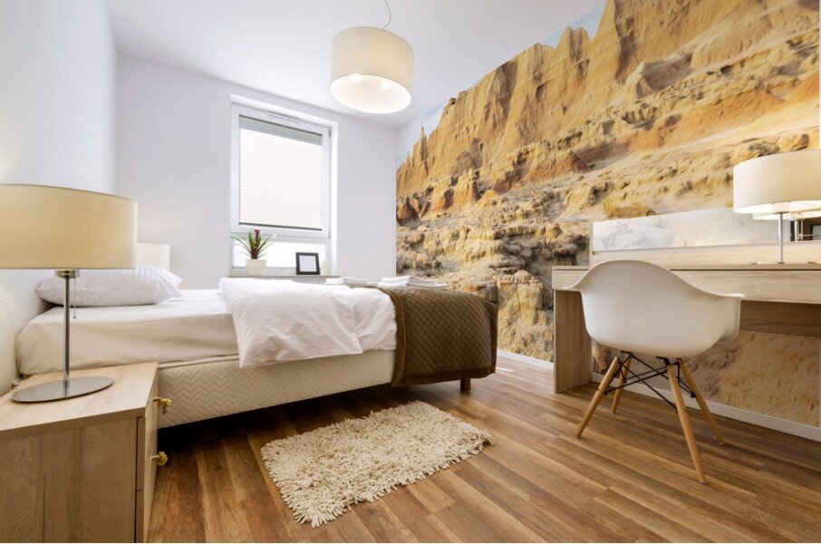 Badlands National Park2 Mural print