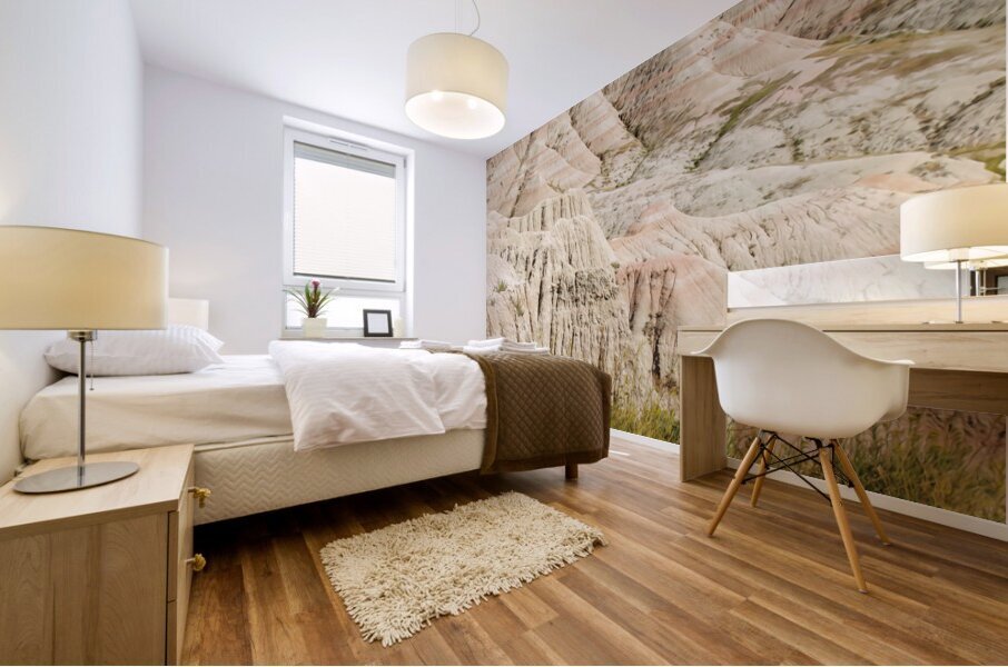Badlands National Park3 Mural print