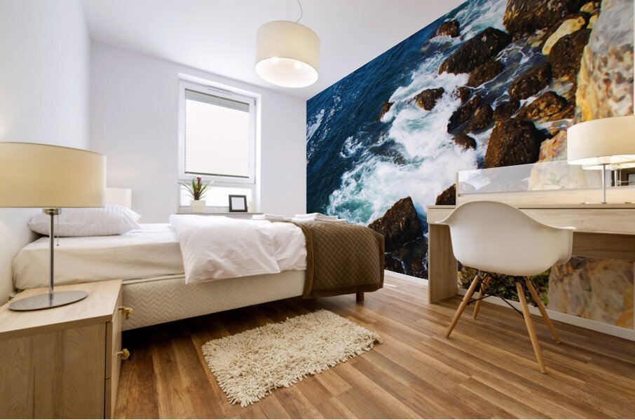 Acadia National Park3 Mural print