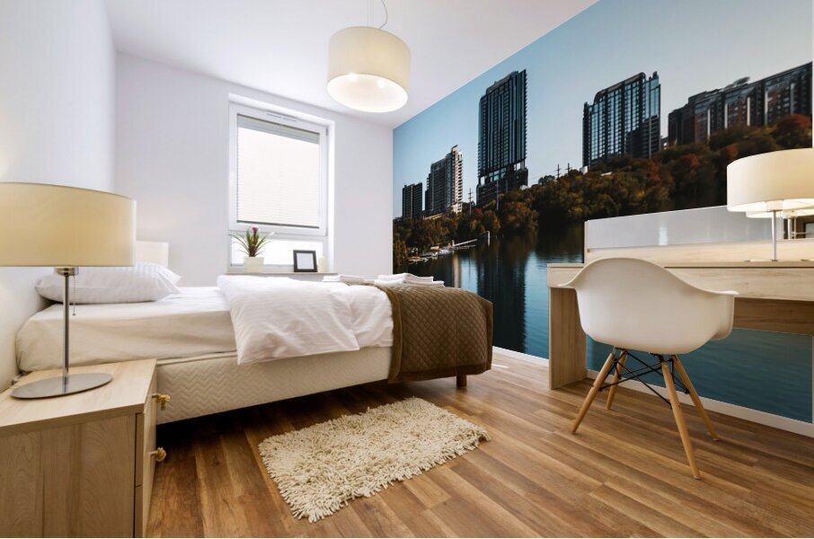 Austin Texas9 Mural print