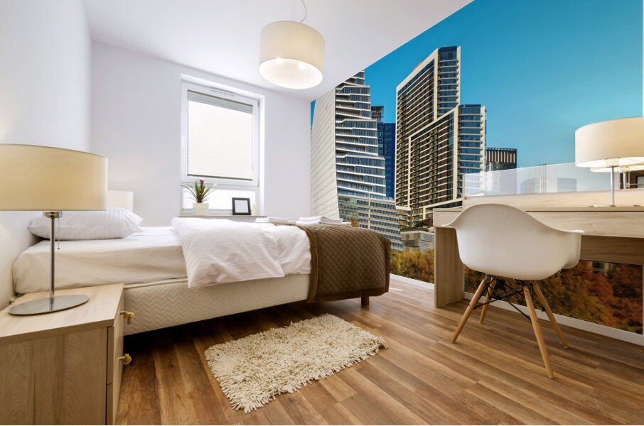 Austin Texas6 Mural print