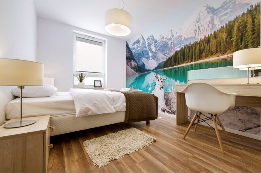 Banff National Park Mural print