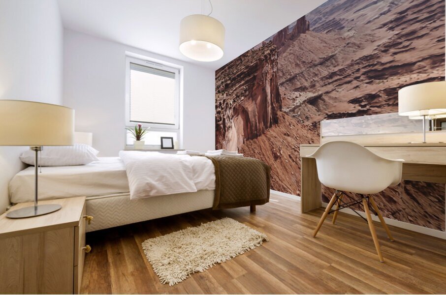 Canyonlands National Park Mural print