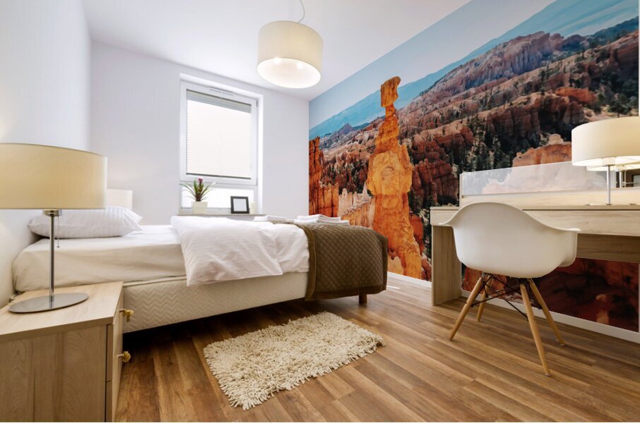 Bryce Canyon National Park3 Mural print