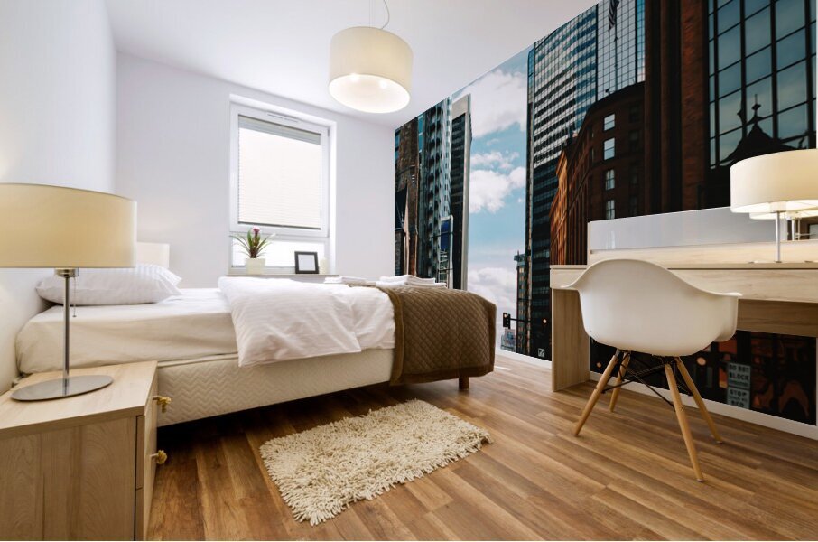 Denver Colorado3 Mural print