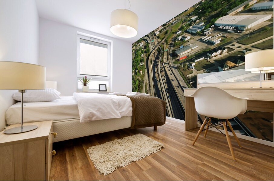 Houston Texas3 Mural print