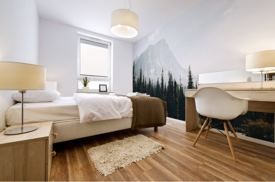 Jasper National Park5 Mural print