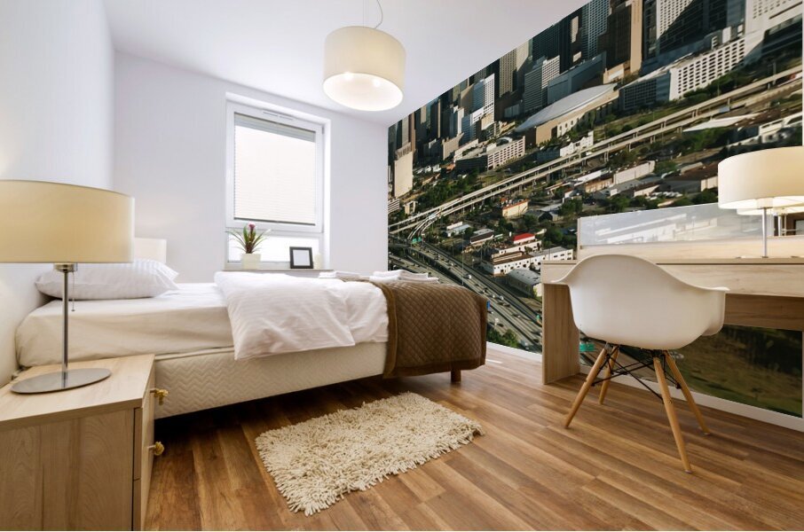 Houston Texas8 Mural print