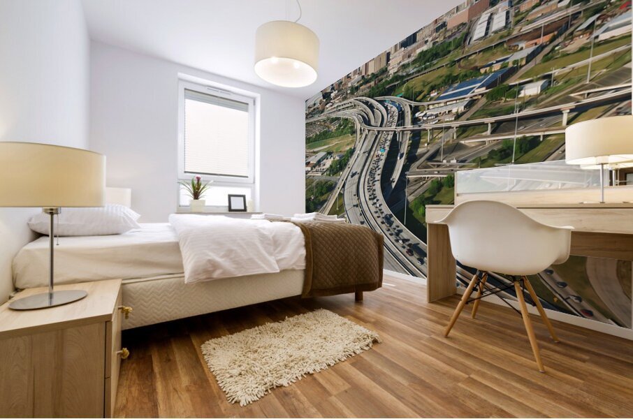 Houston Texas2 Mural print