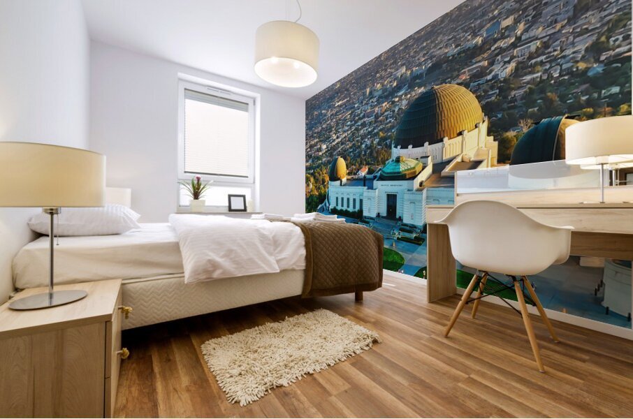 Los Angeles California12 Mural print
