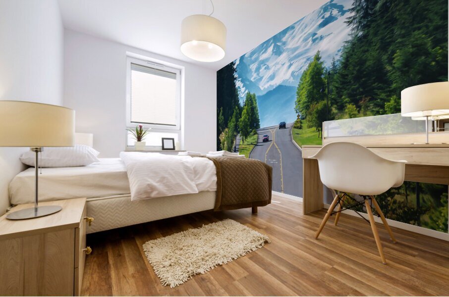Mount Rainier National Park Mural print