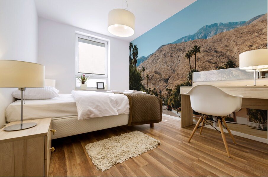 Palm Springs California7 Mural print