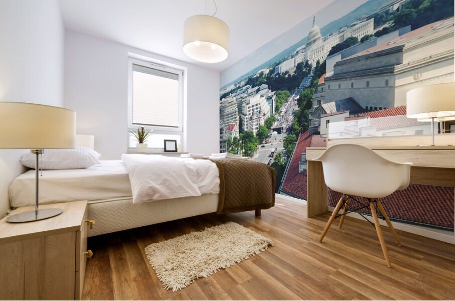 Washington DC8 Mural print