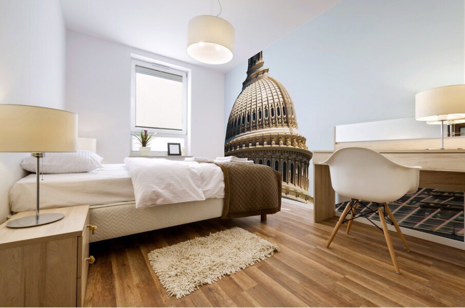 Washington DC10 Mural print