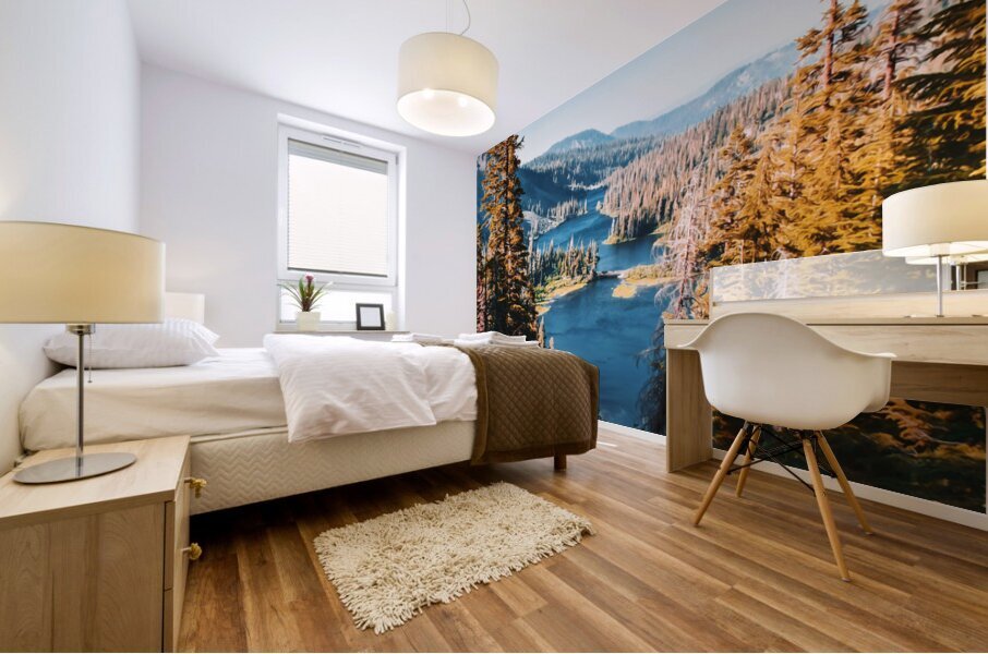 Yosemite National park8 Mural print