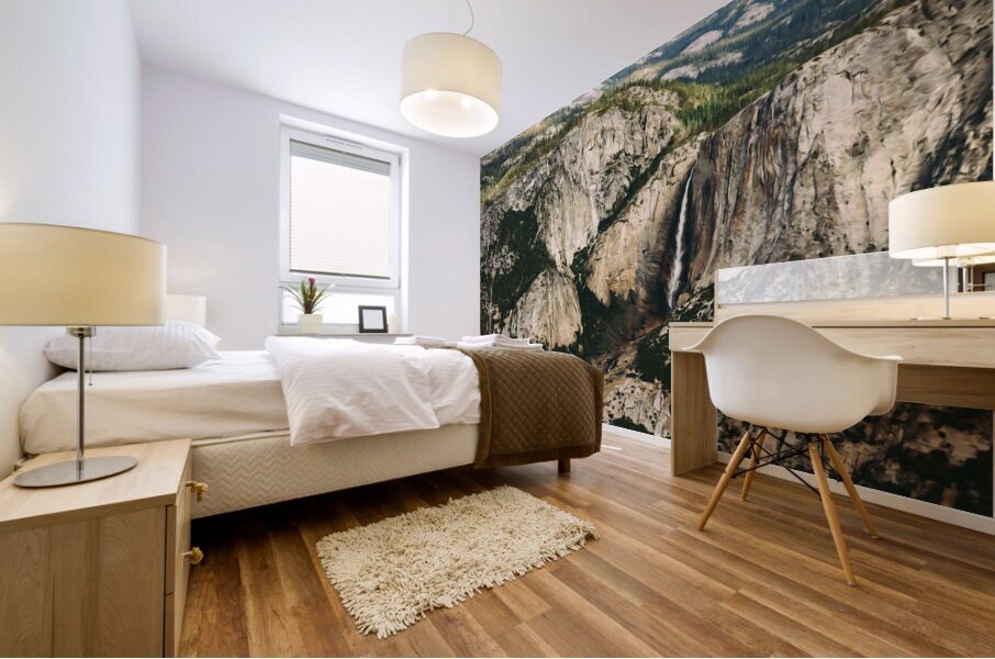 Yosemite National park2 Mural print
