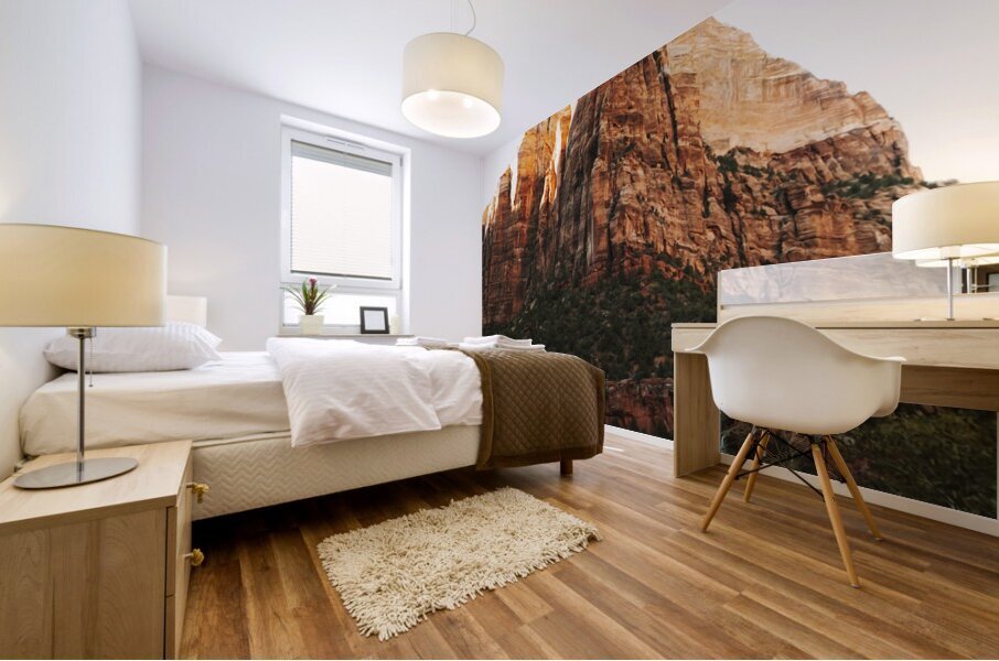 Zion National Park8 Mural print