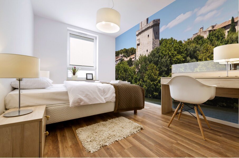 Avignon France2 Mural print