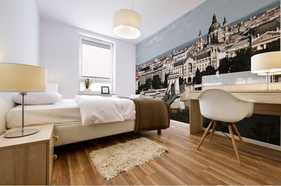 Budapest Hungary6 Mural print